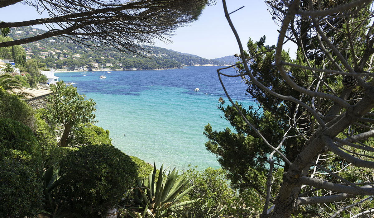 Les Mimosas Provenza-Alpi-Costa Azzurra - Le Lavandou visuel 2/7