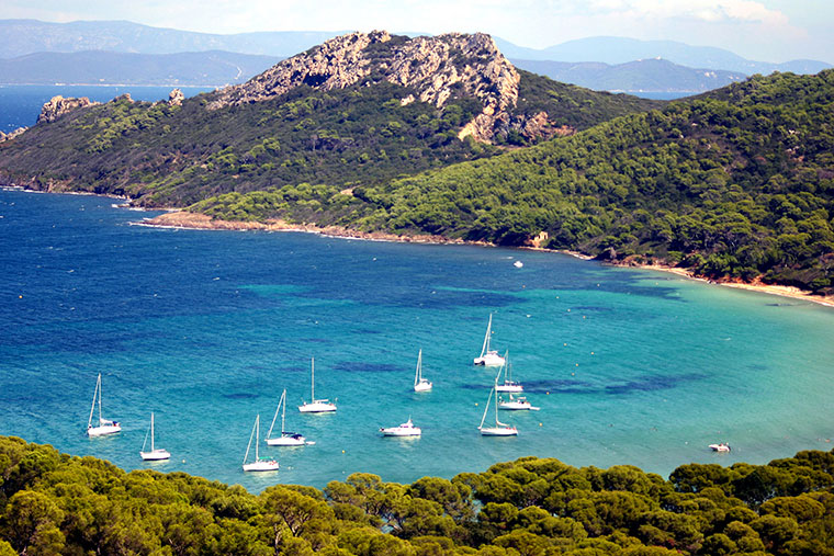 Les Mimosas Provenza-Alpi-Costa Azzurra - Le Lavandou visuel 6/7