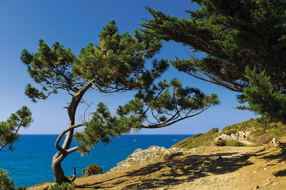 Val-André Bretagna - Pléneuf-Val-André visuel 11/17