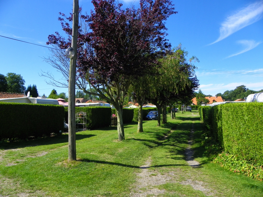 Les Moutons Alta Normandia - Blosseville visuel 1/1 Les Moutons Alta Normandia - Blosseville visuel 1/1