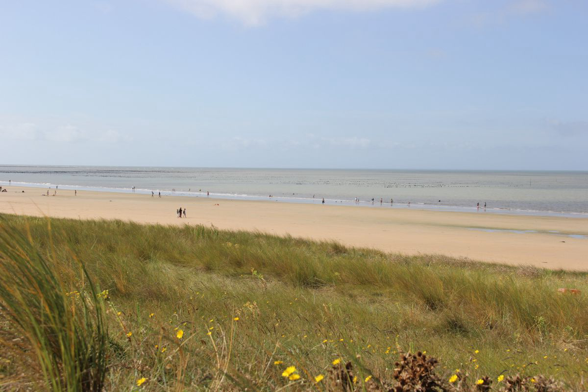 Les Oncheres Paesi della Loira - Barbâtre visuel 4/4 Les Oncheres Paesi della Loira - Barbâtre visuel 4/4