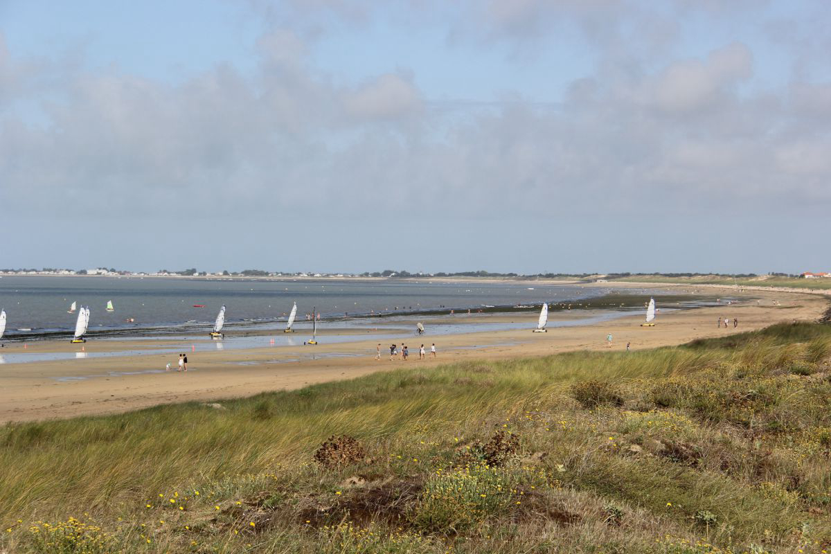 Les Oncheres Paesi della Loira - Barbâtre visuel 3/4 Les Oncheres Paesi della Loira - Barbâtre visuel 3/4