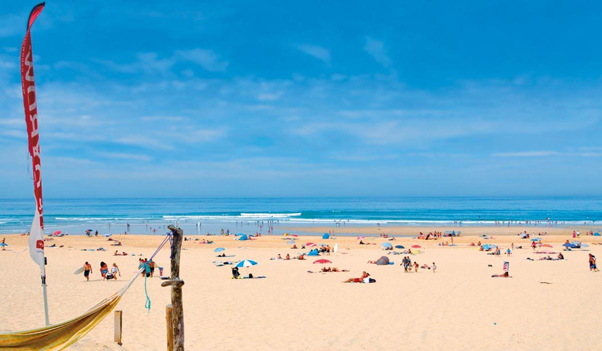 Les Oyats Aquitania - Seignosse visuel 12/21