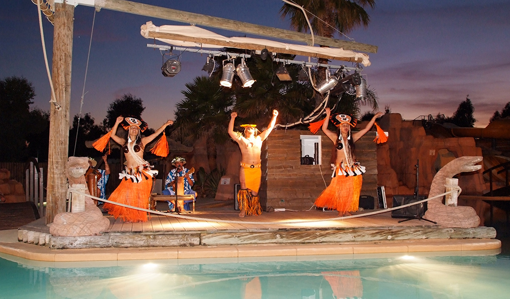 Les Palmiers Provenza-Alpi-Costa Azzurra - Hyères visuel 3/9