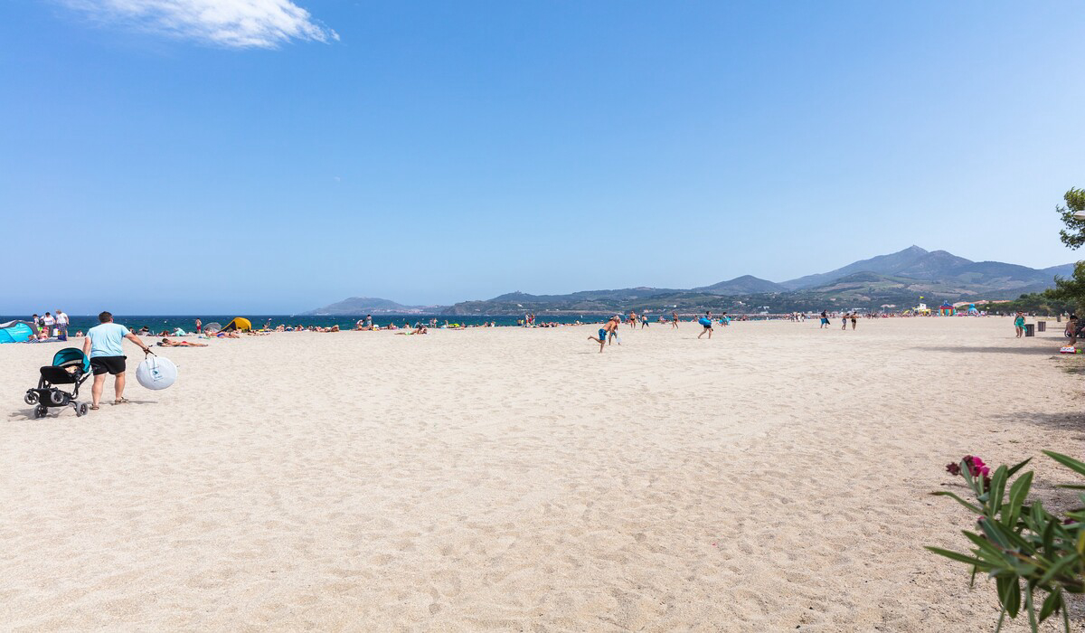 Les Pins Linguadoca-Rossiglione - Argelès-sur-Mer visuel 9/12 Les Pins Linguadoca-Rossiglione - Argelès-sur-Mer visuel 9/12