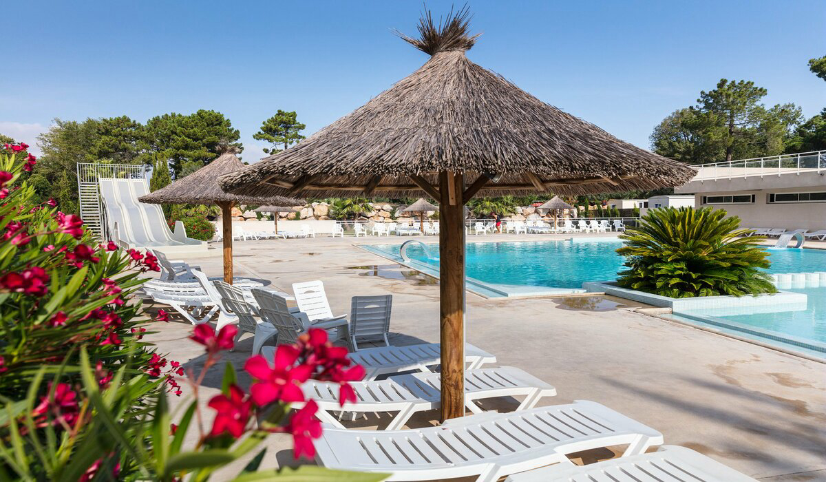 Les Pins Linguadoca-Rossiglione - Argelès-sur-Mer visuel 4/12 Les Pins Linguadoca-Rossiglione - Argelès-sur-Mer visuel 4/12