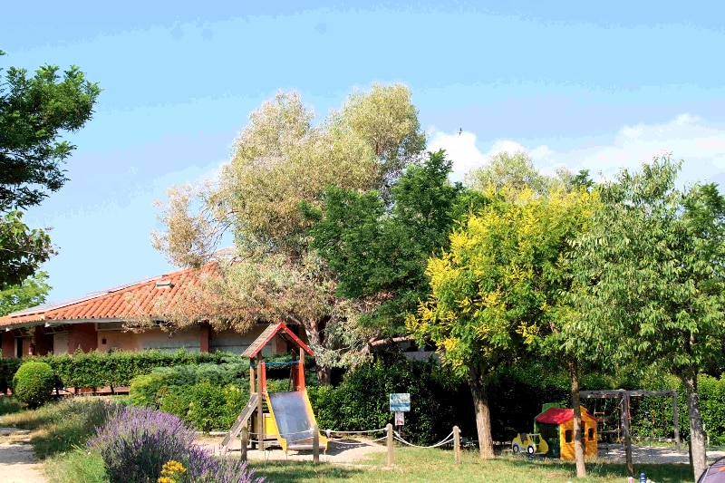 Les Pins Provenza-Alpi-Costa Azzurra - Les Salles-sur-Verdon visuel 4/10