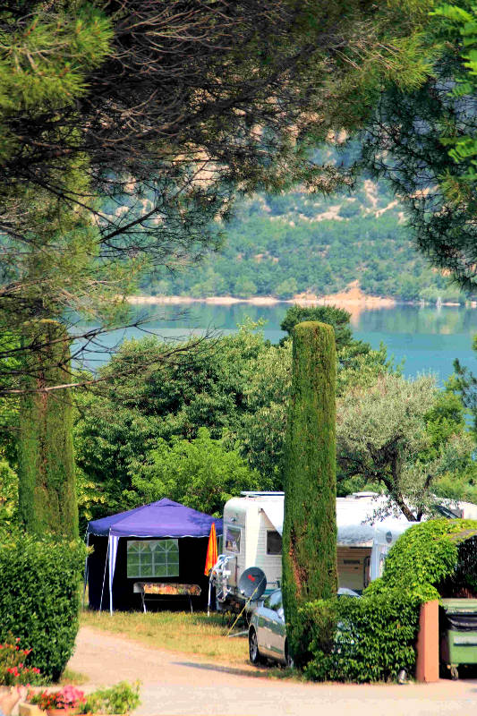 Les Pins Provenza-Alpi-Costa Azzurra - Les Salles-sur-Verdon visuel 10/10