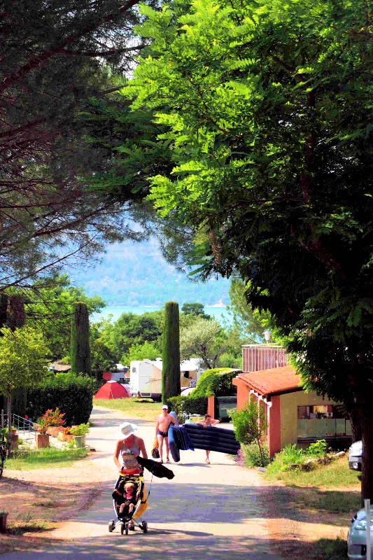 Les Pins Provenza-Alpi-Costa Azzurra - Les Salles-sur-Verdon visuel 8/10