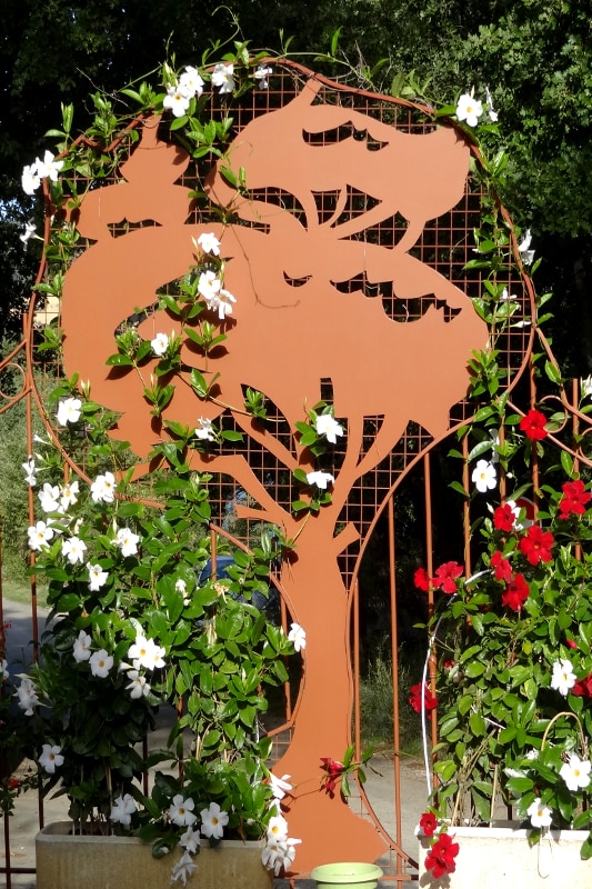 Les Pins Provenza-Alpi-Costa Azzurra - Les Salles-sur-Verdon visuel 7/10