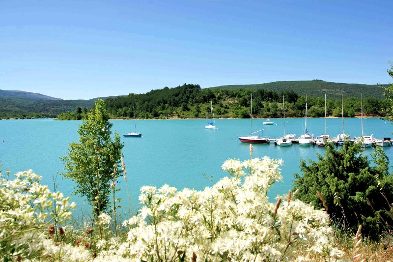 Les Pins Provenza-Alpi-Costa Azzurra - Les Salles-sur-Verdon visuel 6/10