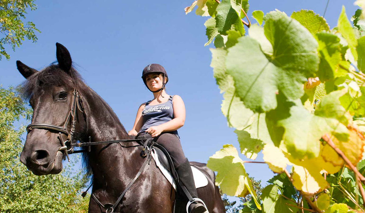 Les Plages de l'Ain Rodano-Alpi - Saint-Maurice-de-Gourdans visuel 6/7
