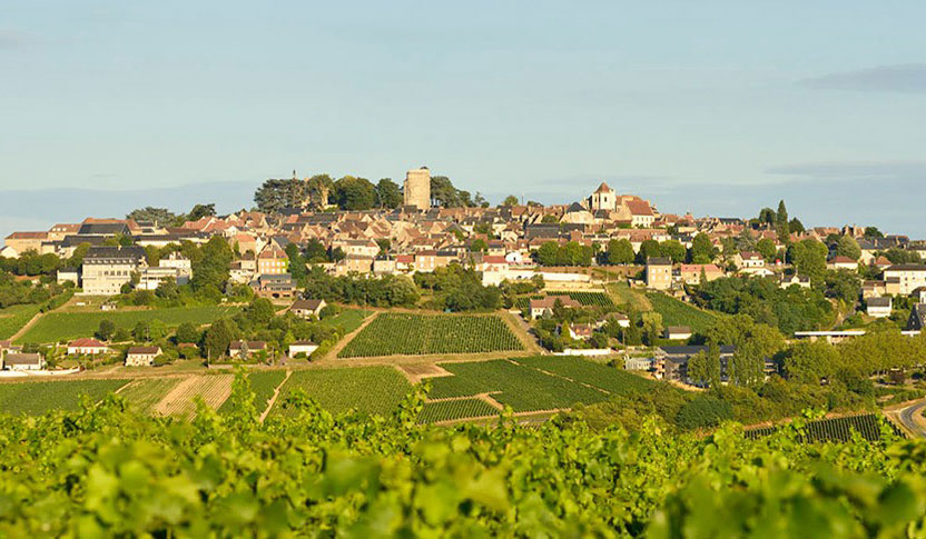 Les Portes de Sancerre Centro-Valle della Loira - Saint-Satur visuel 6/7 Les Portes de Sancerre Centro-Valle della Loira - Saint-Satur visuel 6/7