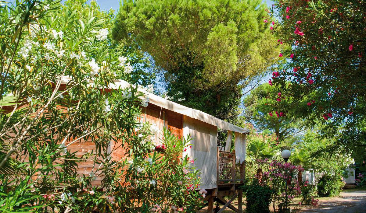 Les Pêcheurs Provenza-Alpi-Costa Azzurra - Roquebrune-sur Argens visuel 5/21