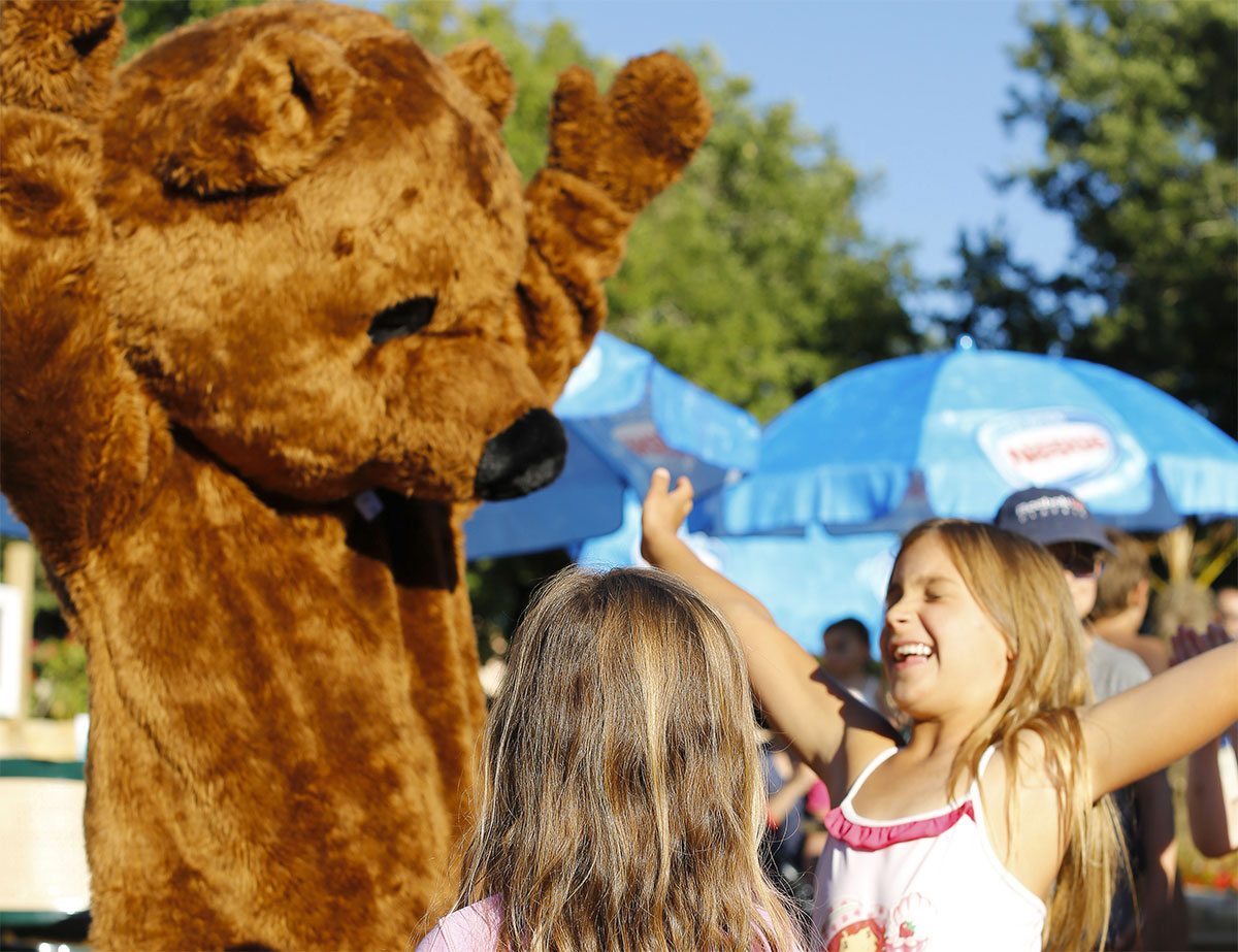 Les Reflets du Quercy Midi-Pirenei - Crayssac visuel 13/20 Les Reflets du Quercy Midi-Pirenei - Crayssac visuel 13/20