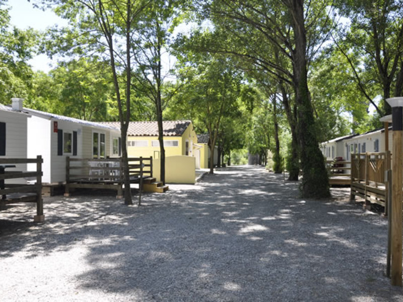 Les Rives d'Auzon Rodano-Alpi - Lavilledieu visuel 5/9