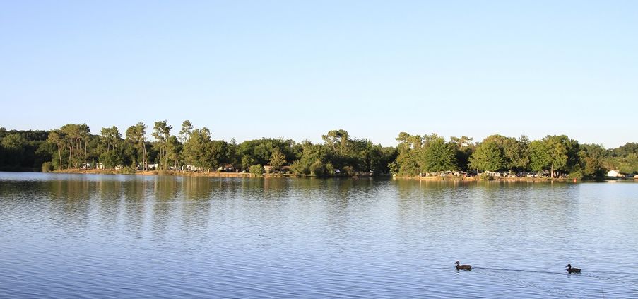 Les Rives du Lac Midi-Pirenei - Cazaubon visuel 11/13