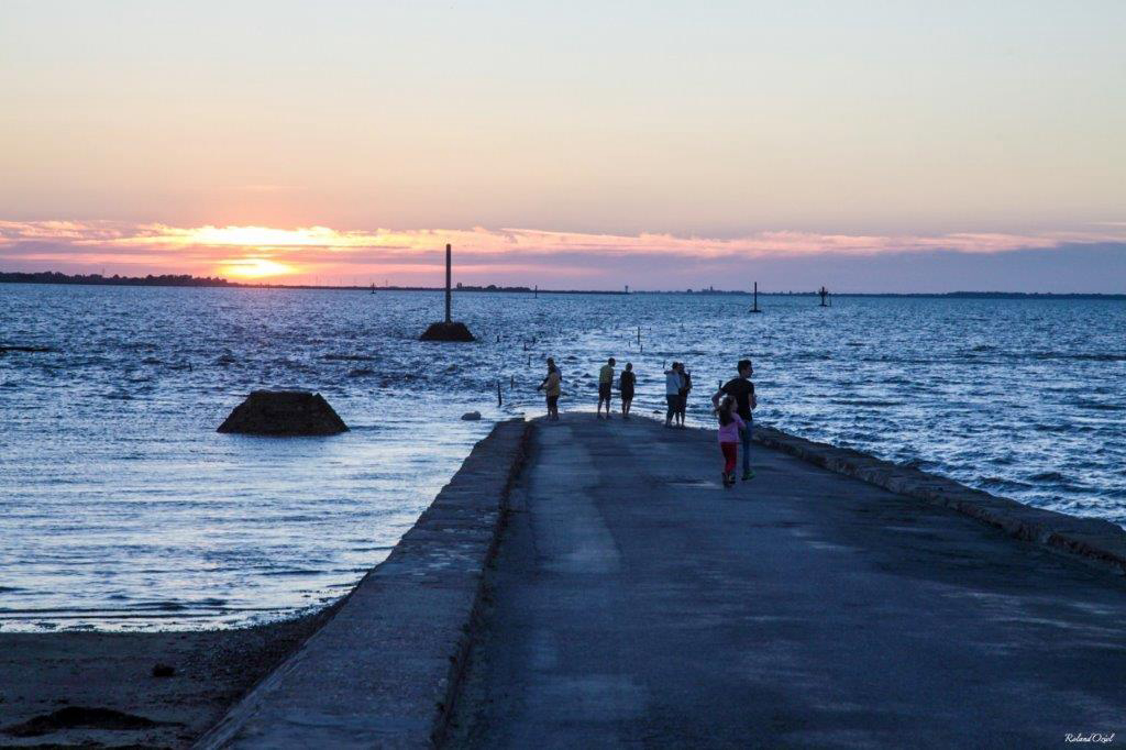 Les Roussieres Paesi della Loira - Noirmoutier-en-l'Île visuel 8/8