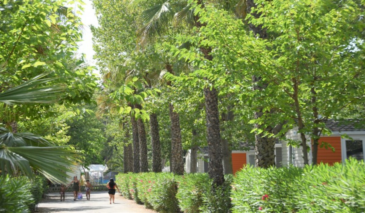 Les Salisses Linguadoca-Rossiglione - Vias visuel 4/9