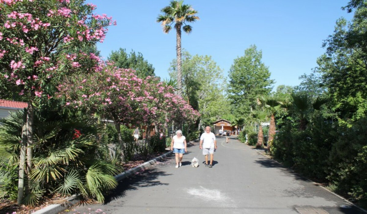 Les Salisses Linguadoca-Rossiglione - Vias visuel 8/9