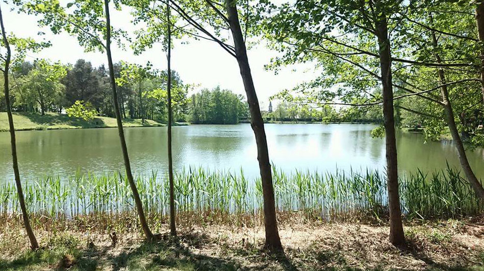 Les Sapins Alsazia - Keskastel visuel 1/4