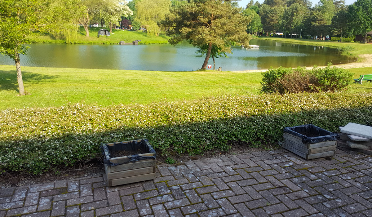 Les Sapins Alsazia - Keskastel visuel 3/4