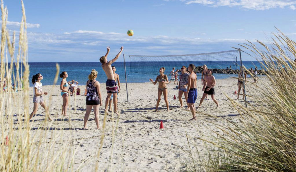 Les Tamaris Linguadoca-Rossiglione - Frontignan visuel 17/17