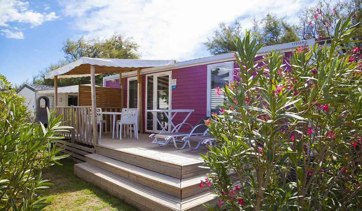 Les Tamaris Linguadoca-Rossiglione - Frontignan visuel 11/17