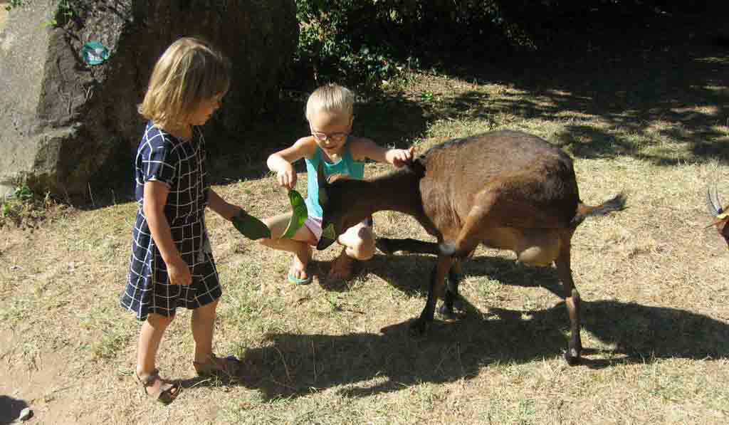 Les Tomasses Provenza-Alpi-Costa Azzurra - Belgentier visuel 6/8