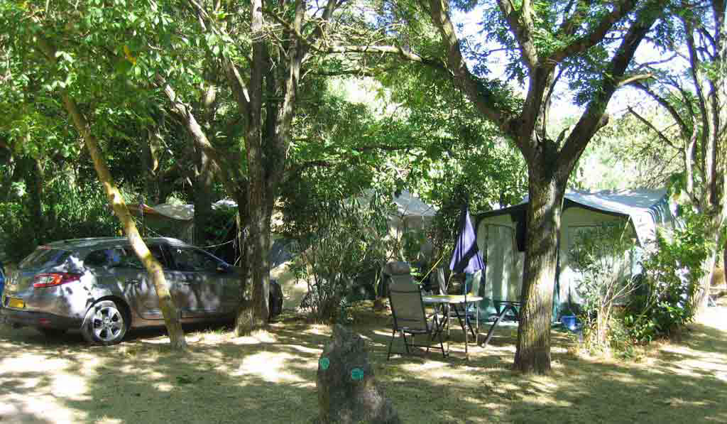 Les Tomasses Provenza-Alpi-Costa Azzurra - Belgentier visuel 3/8