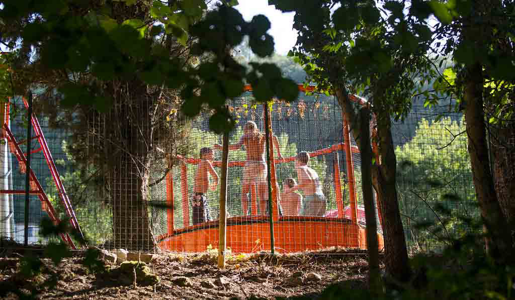 Les Tomasses Provenza-Alpi-Costa Azzurra - Belgentier visuel 2/8