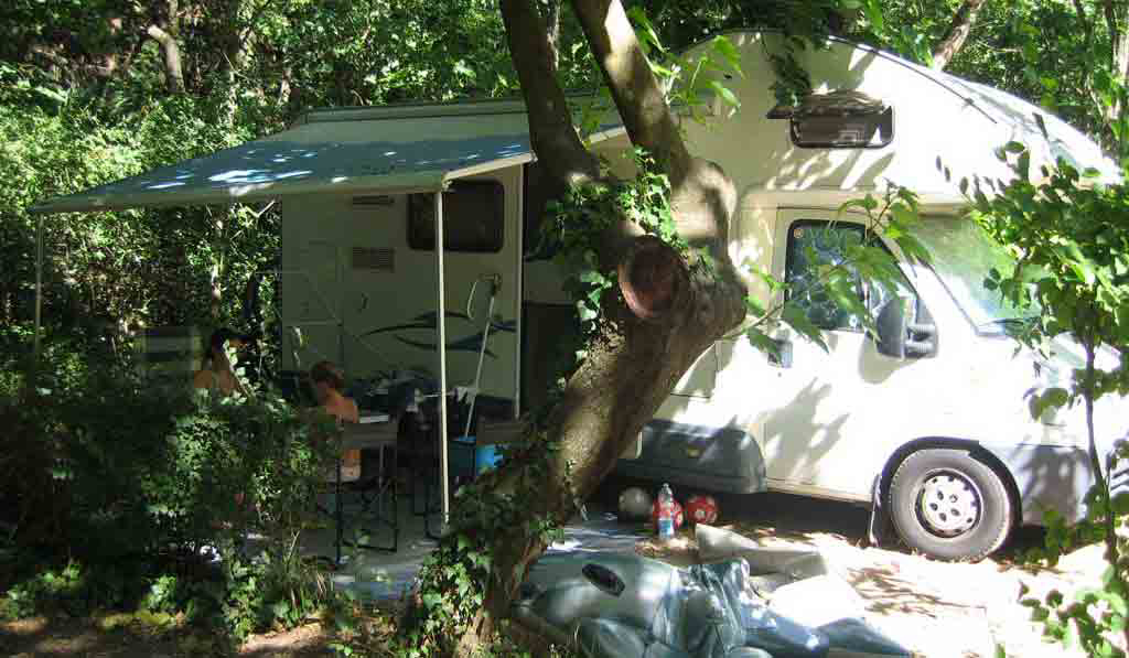 Les Tomasses Provenza-Alpi-Costa Azzurra - Belgentier visuel 5/8