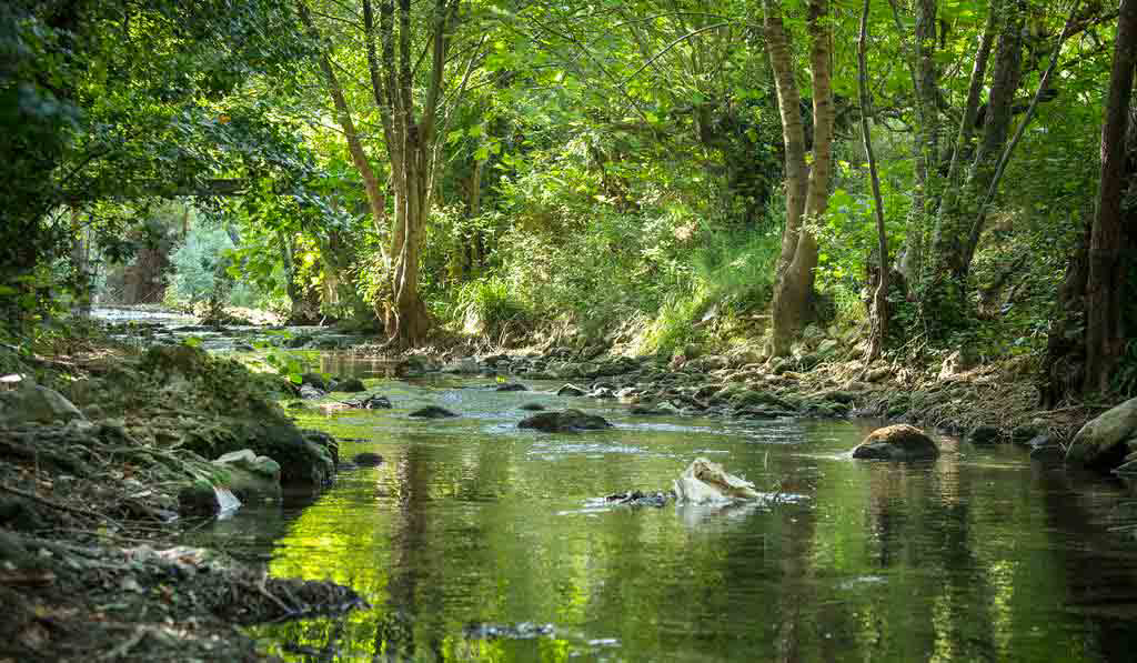 Les Tomasses Provenza-Alpi-Costa Azzurra - Belgentier visuel 8/8