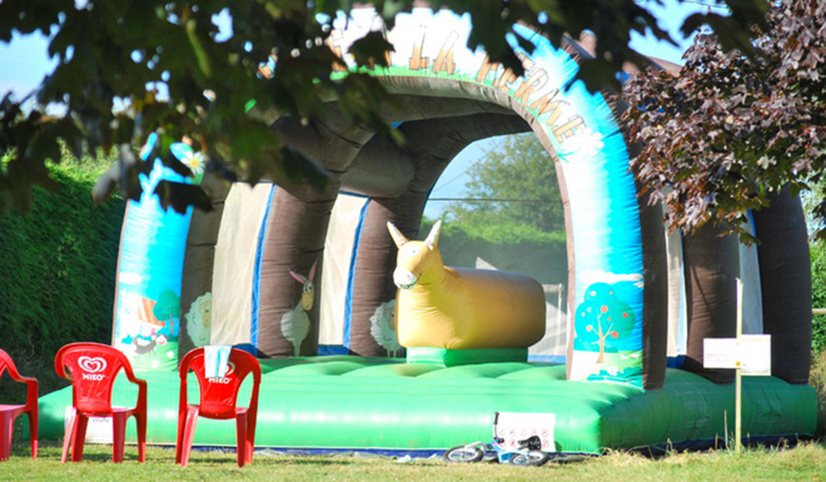 Les Tournesols Paesi della Loira - Le Grez visuel 4/5 Les Tournesols Paesi della Loira - Le Grez visuel 4/5