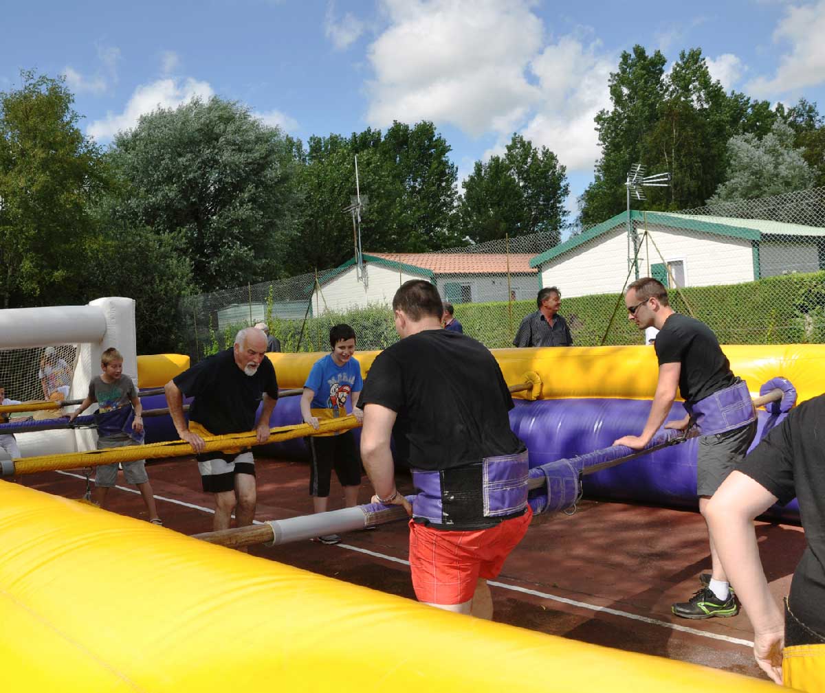 Les Tourterelles Nord-Passo di Calais - Rang-du-Fliers visuel 8/10 Les Tourterelles Nord-Passo di Calais - Rang-du-Fliers visuel 8/10