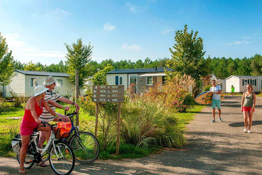 Les Vignes Aquitania - Lit-et-Mixe visuel 7/22