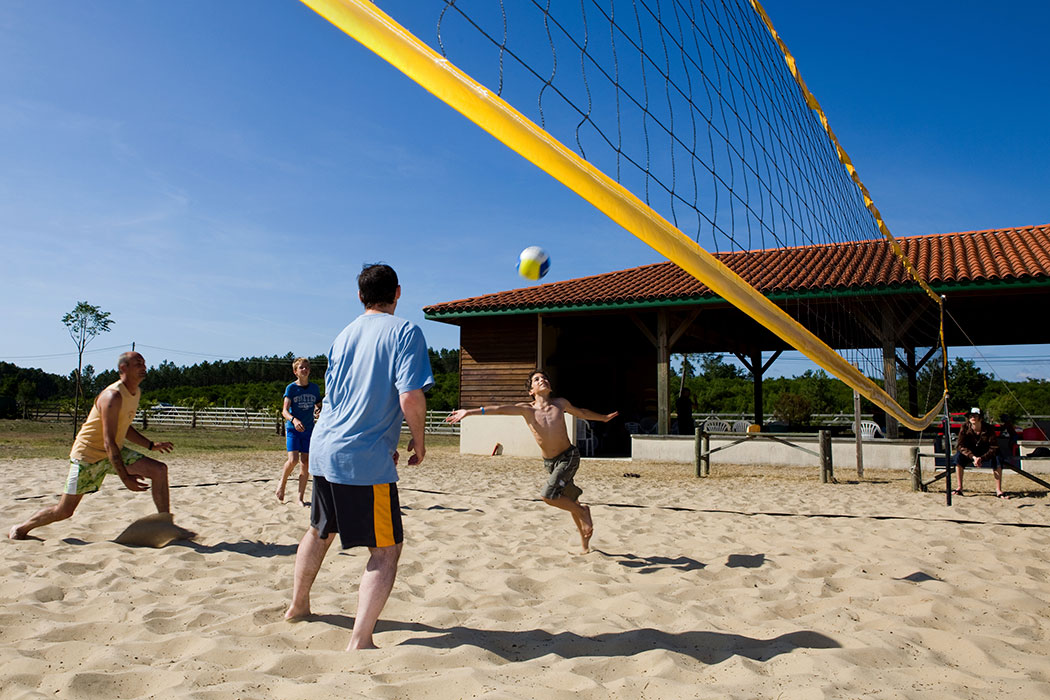 Les Vignes Aquitania - Lit-et-Mixe visuel 19/22