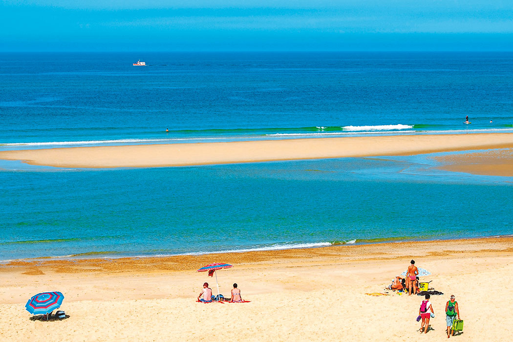 Les Vignes Aquitania - Lit-et-Mixe visuel 6/22