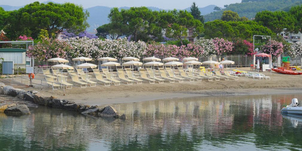 Lino Liguria - Cervo visuel 2/3 Lino Liguria - Cervo visuel 2/3