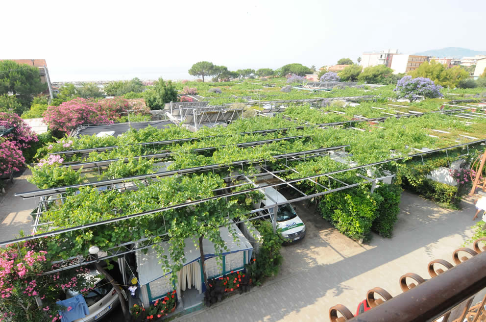 Lino Liguria - Cervo visuel 3/3 Lino Liguria - Cervo visuel 3/3