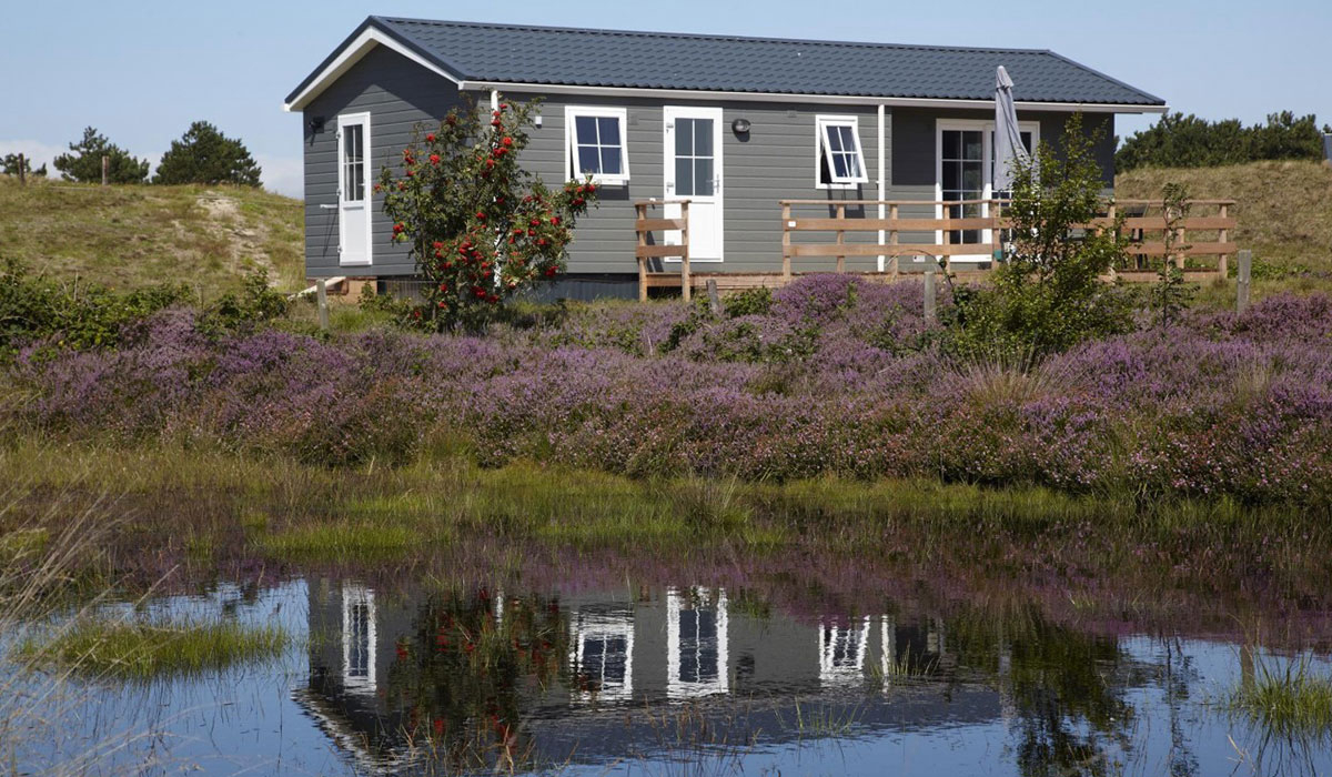 Loodsmansduin Olanda Settentrionale - Texel visuel 2/3