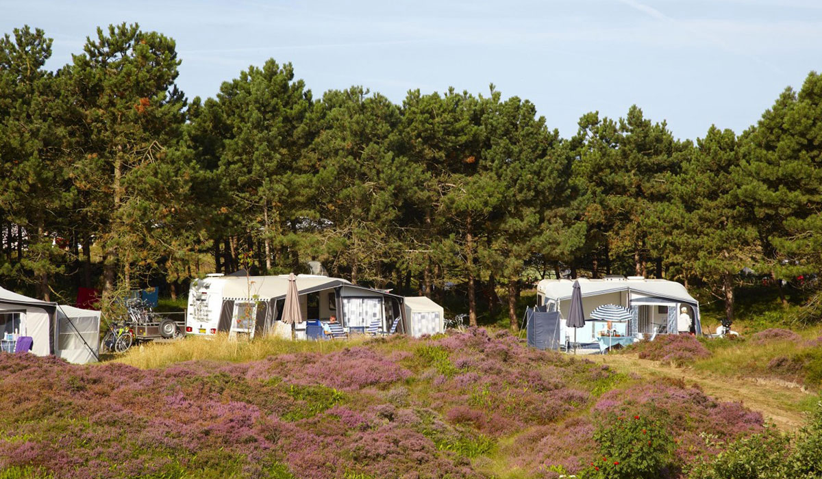 Loodsmansduin Olanda Settentrionale - Texel visuel 3/3