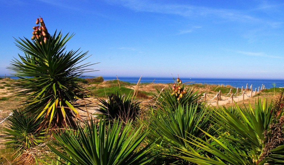 Los Llanos Costa di Valencia - Dénia visuel 5/5