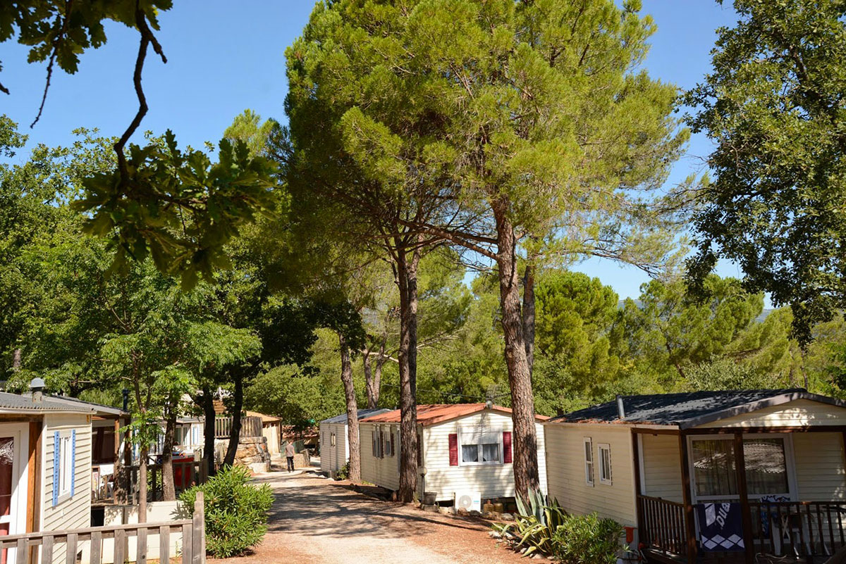 Lou Cantaire Provenza-Alpi-Costa Azzurra - Fayence visuel 7/16 Lou Cantaire Provenza-Alpi-Costa Azzurra - Fayence visuel 7/16