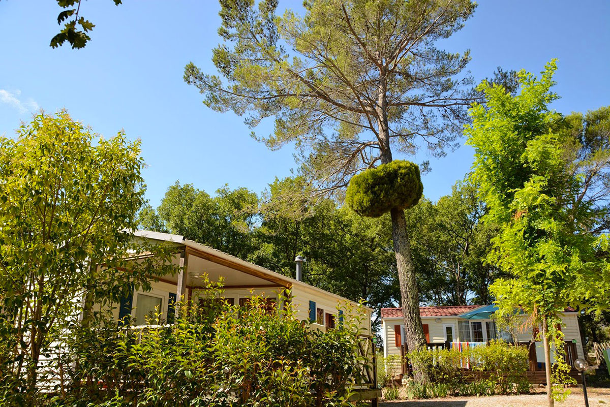 Lou Cantaire Provenza-Alpi-Costa Azzurra - Fayence visuel 12/16 Lou Cantaire Provenza-Alpi-Costa Azzurra - Fayence visuel 12/16