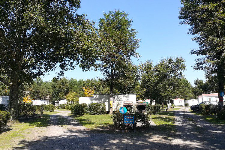 Lou Payou Aquitania - Lesperon visuel 3/16