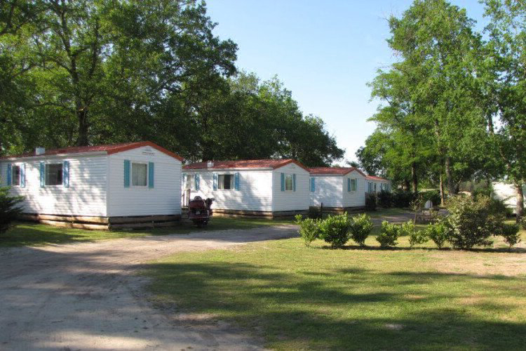 Lou Payou Aquitania - Lesperon visuel 8/16