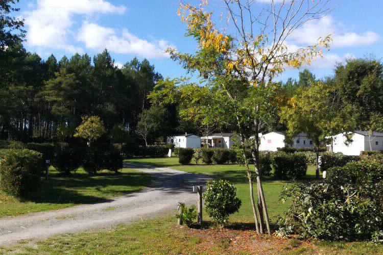 Lou Payou Aquitania - Lesperon visuel 4/16