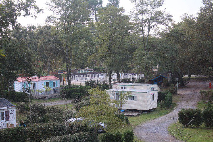 Lou Payou Aquitania - Lesperon visuel 5/16