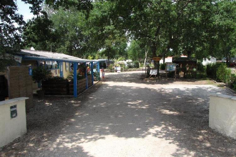 Lou Payou Aquitania - Lesperon visuel 6/16